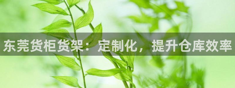 杏运娱乐平台注册地址在哪里