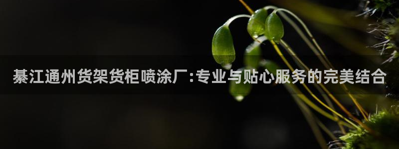 杏运平台注册登录：綦江通州货架货柜喷涂厂