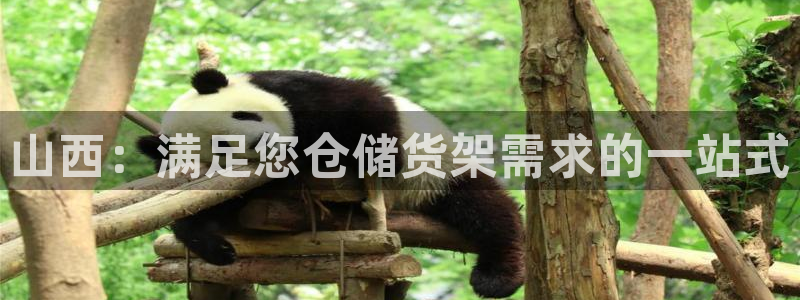 杏运娱乐怎么样：山西：满足您仓储货架需求