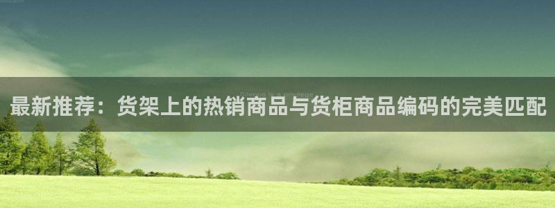 杏运体育app：最新推荐：货架上的热销商