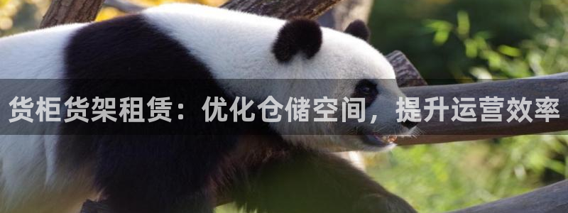 杏运汽车：货柜货架租赁：优化仓储空间，提
