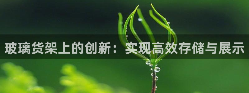 杏运体育app：玻璃货架上的创新：实现高