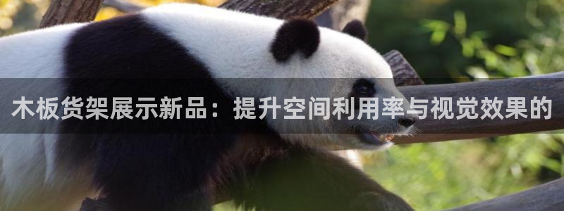 杏运体育注册：木板货架展示新品：提升空间