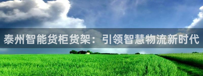 杏运新能源：泰州智能货柜货架：引领智慧物