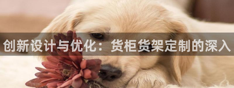 杏运体育app下载安装手机版