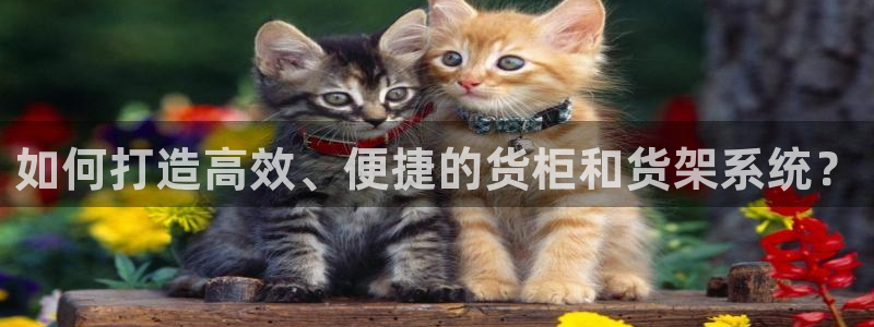 杏运体育怎么样：如何打造高效、便捷的货柜
