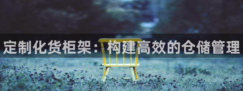 杏运注册平台：定制化货柜架：构建高效的仓