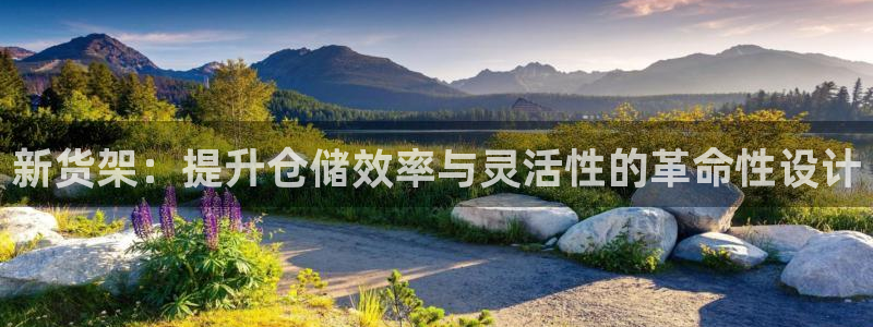 杏运体育官方网址：新货架：提升仓储效率与