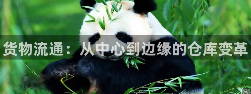 杏运注册登录：货物流通：从中心到边缘的仓