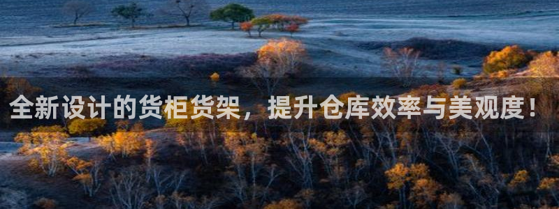 杏运平台代理：全新设计的货柜货架，提升仓