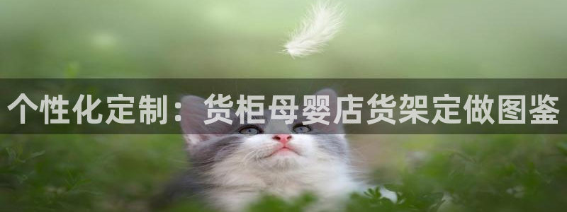 杏运代理