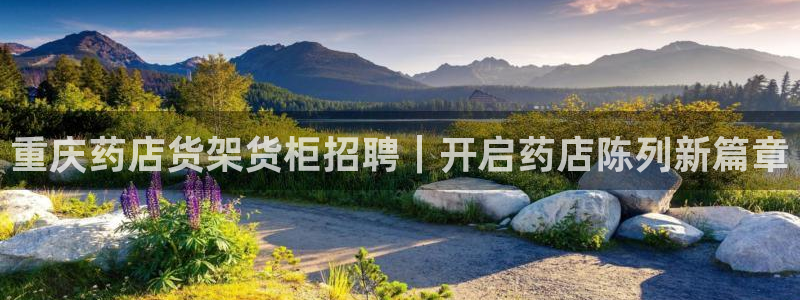 杏运娱乐平台注册地址在哪里