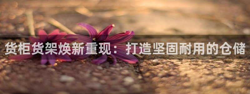 杏运体育官方网址登录