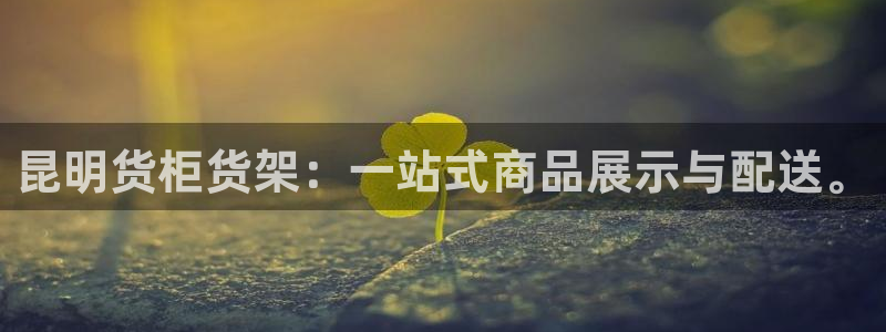 杏运体育：昆明货柜货架：一站式商品展示与