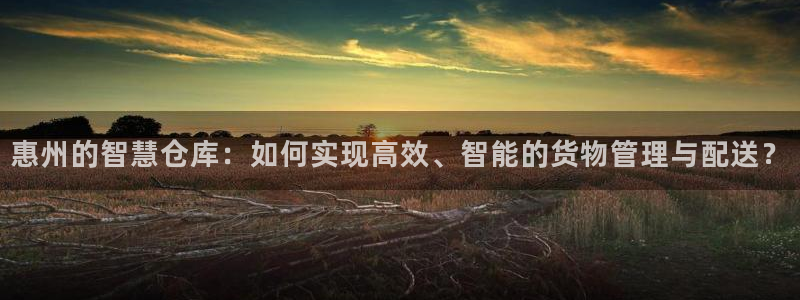 杏运新能源：惠州的智慧仓库：如何实现高效