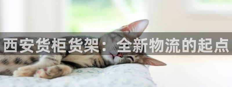 杏运体育app下载安装手机版