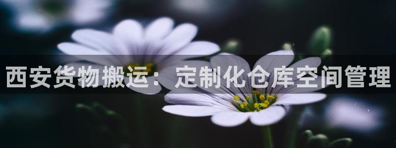 杏运平台官网：西安货物搬运：定制化仓库空