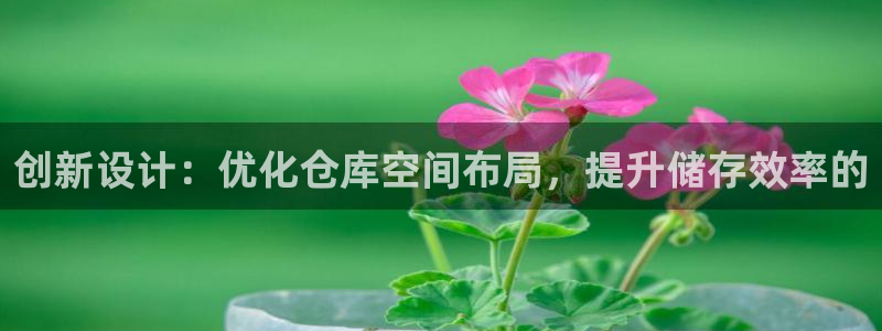 杏运娱乐：创新设计：优化仓库空间布局，提