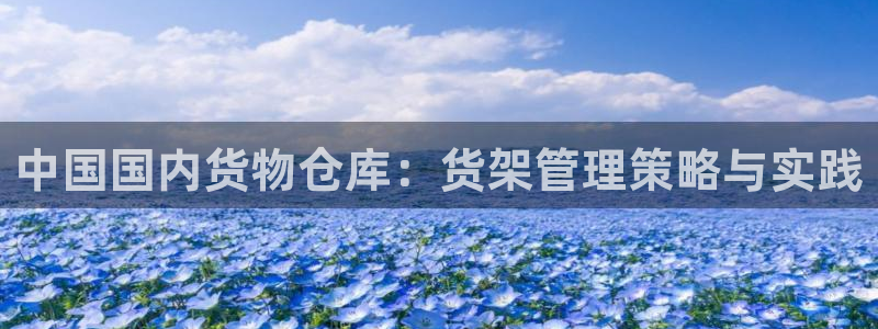 杏运代理